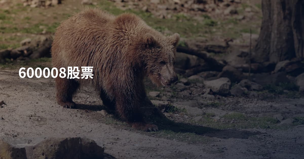 600008股票