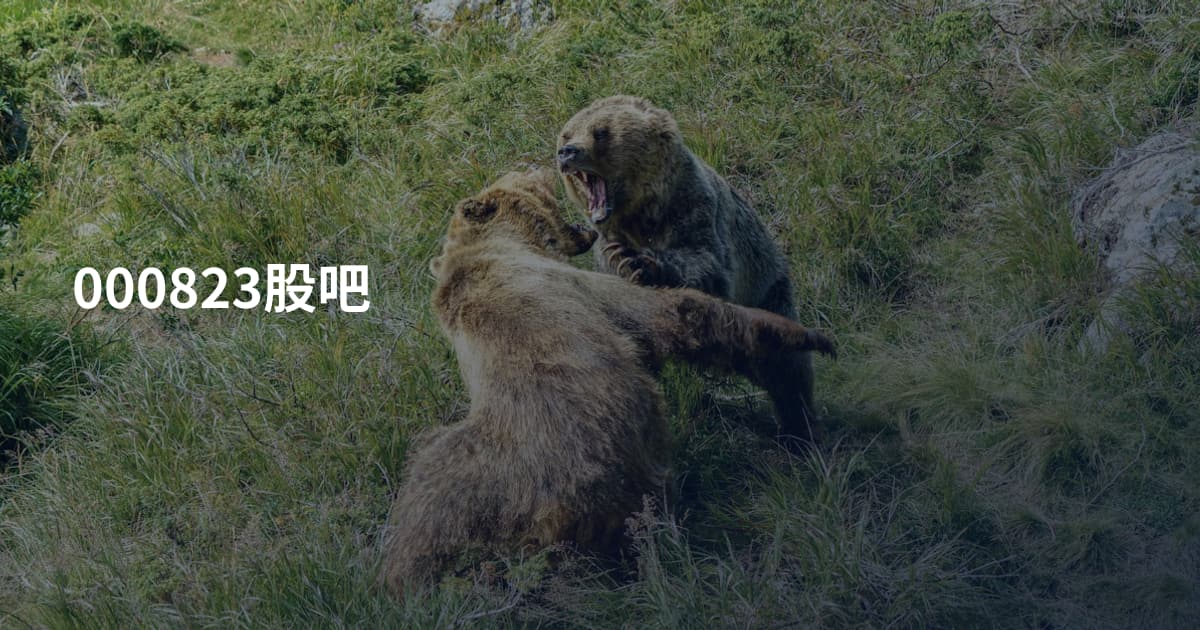 000823股吧