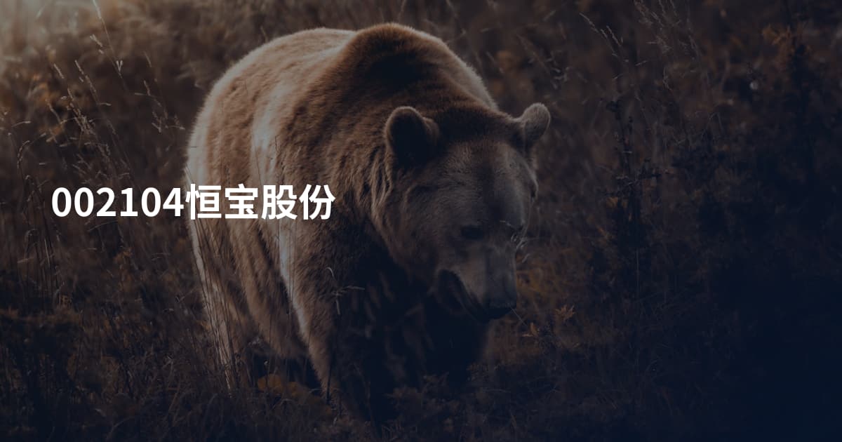 002104恒宝股份