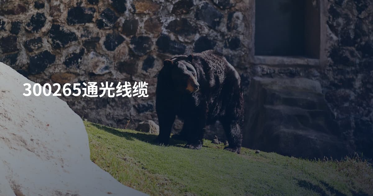 300265通光线缆