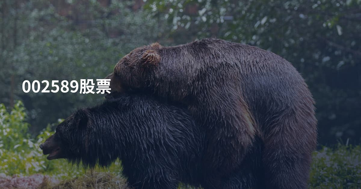 002589股票