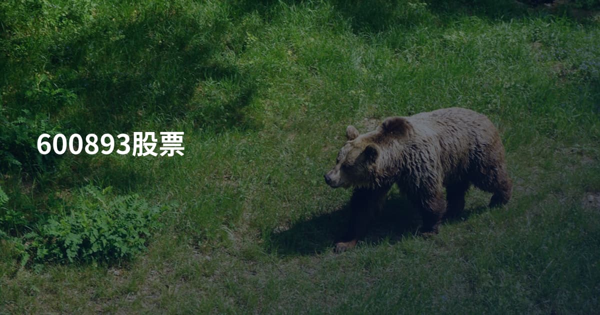 600893股票