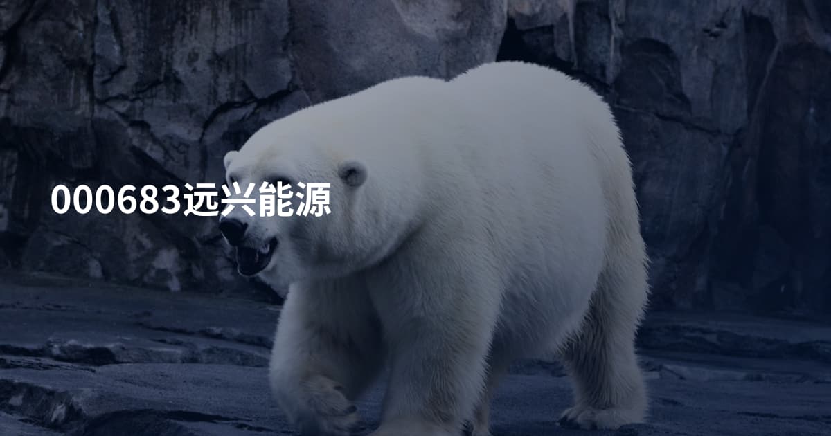000683远兴能源