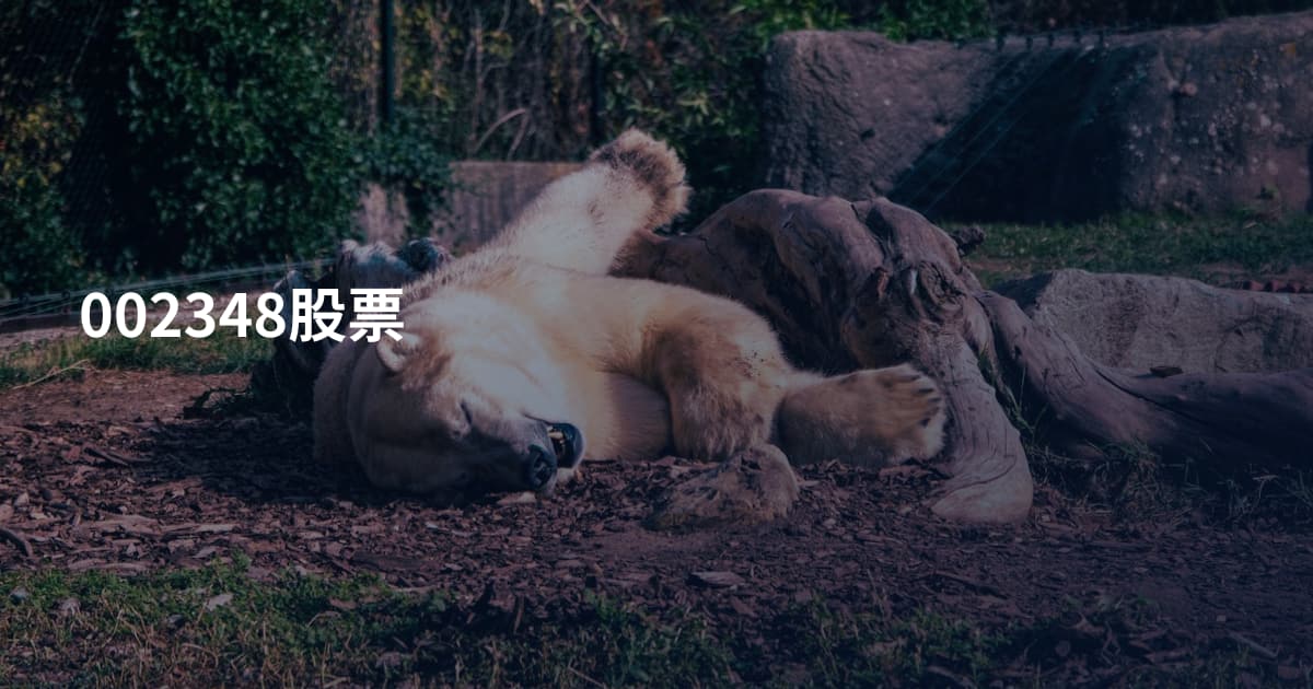 002348股票