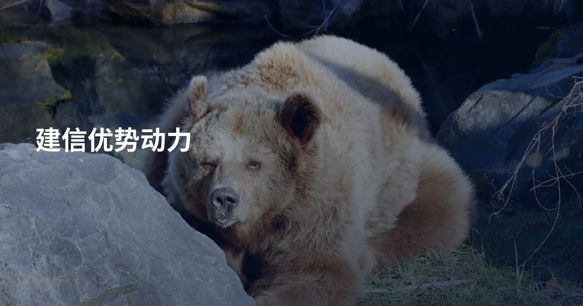 建信优势动力