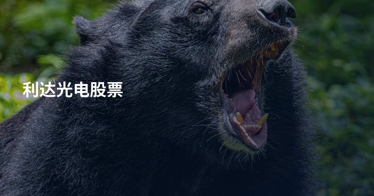 利达光电股票