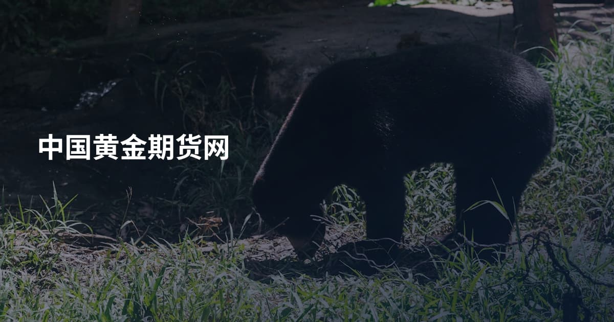 中国黄金期货网