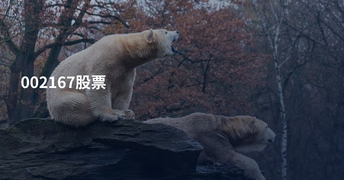 002167股票