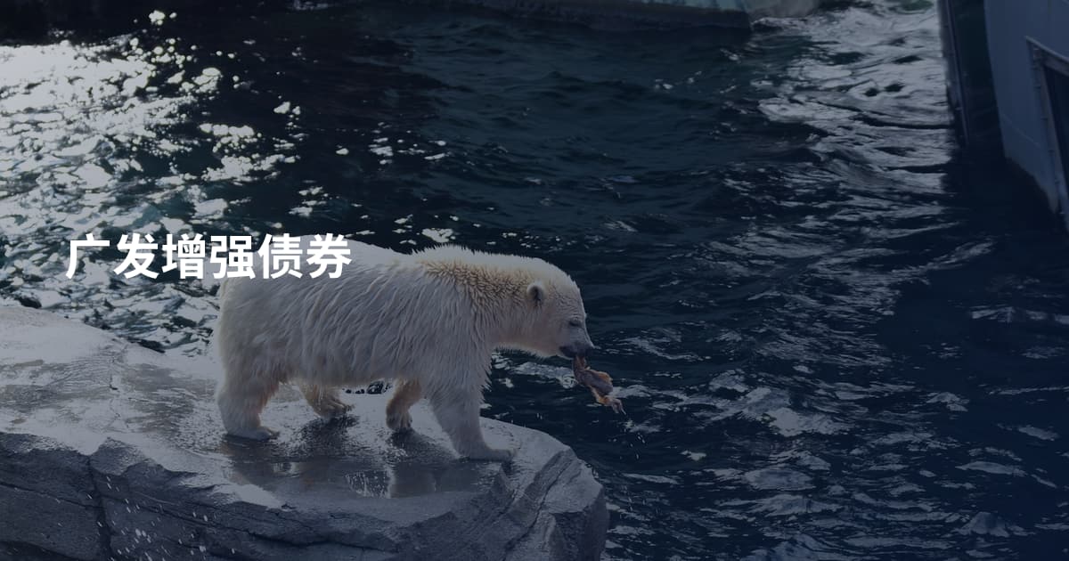 广发增强债券