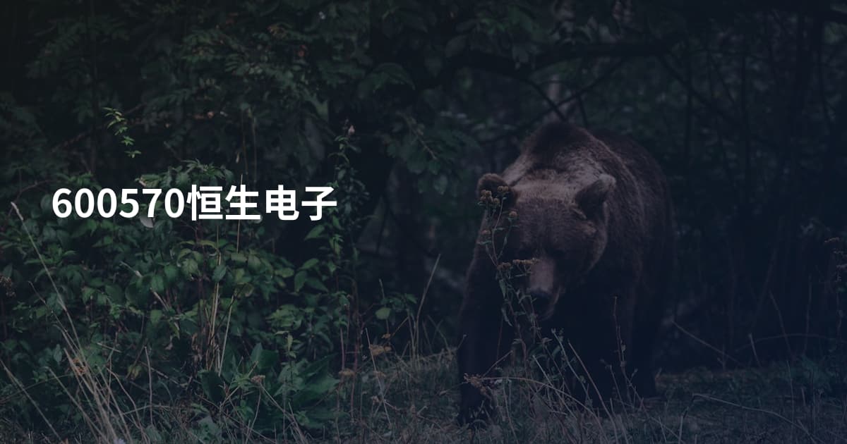 600570恒生电子