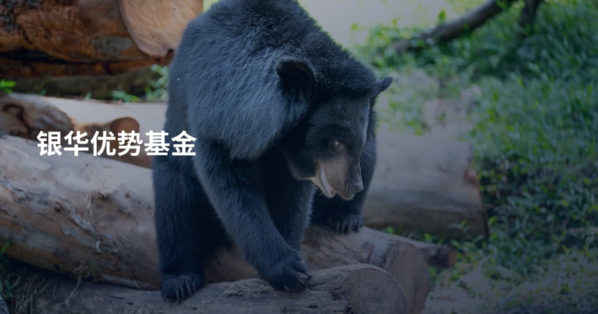 银华优势基金