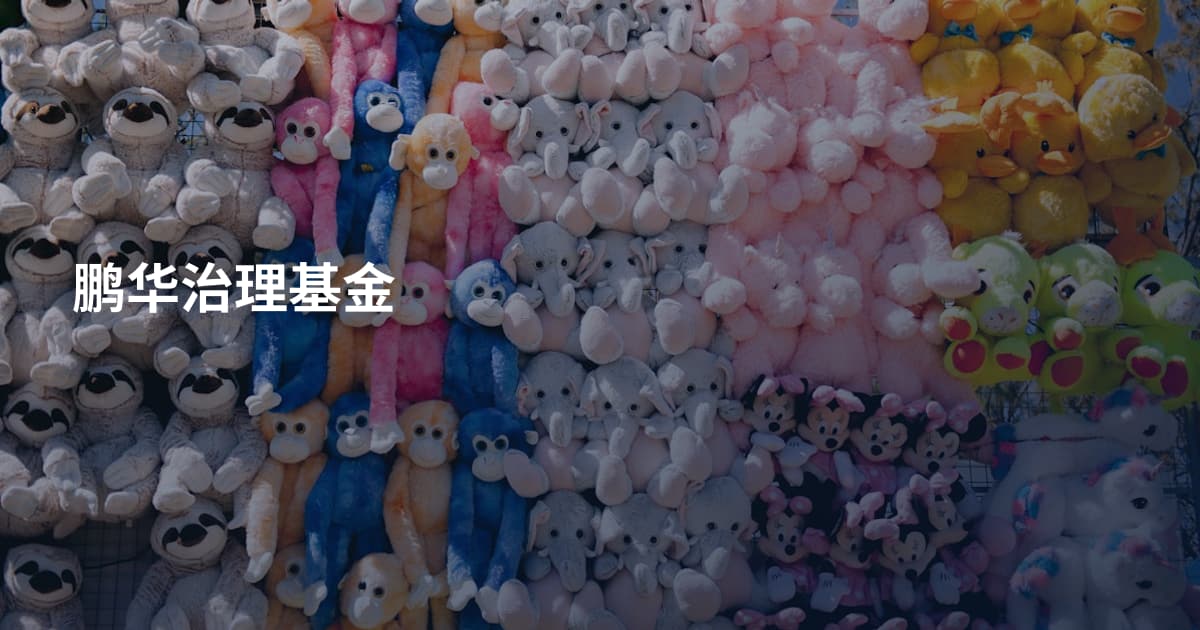 鹏华治理基金