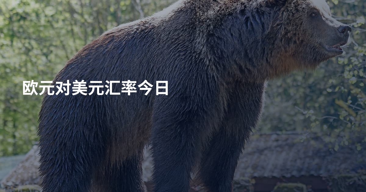 欧元对美元汇率今日