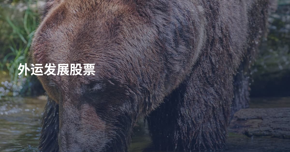 外运发展股票