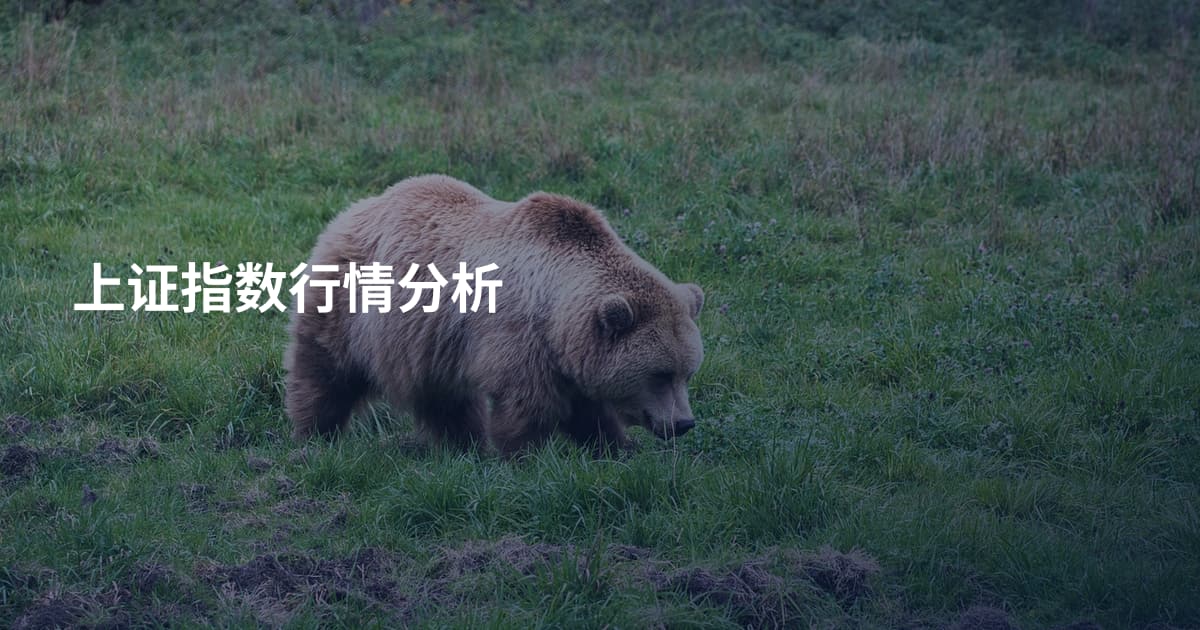上证指数行情分析