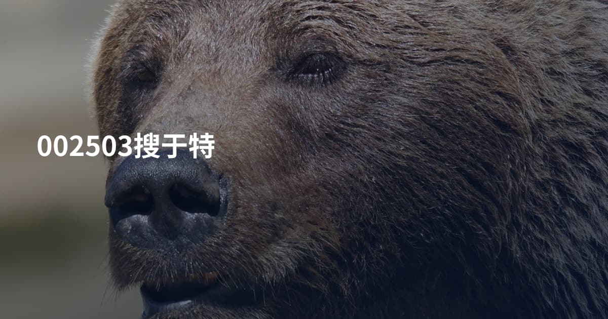 002503搜于特