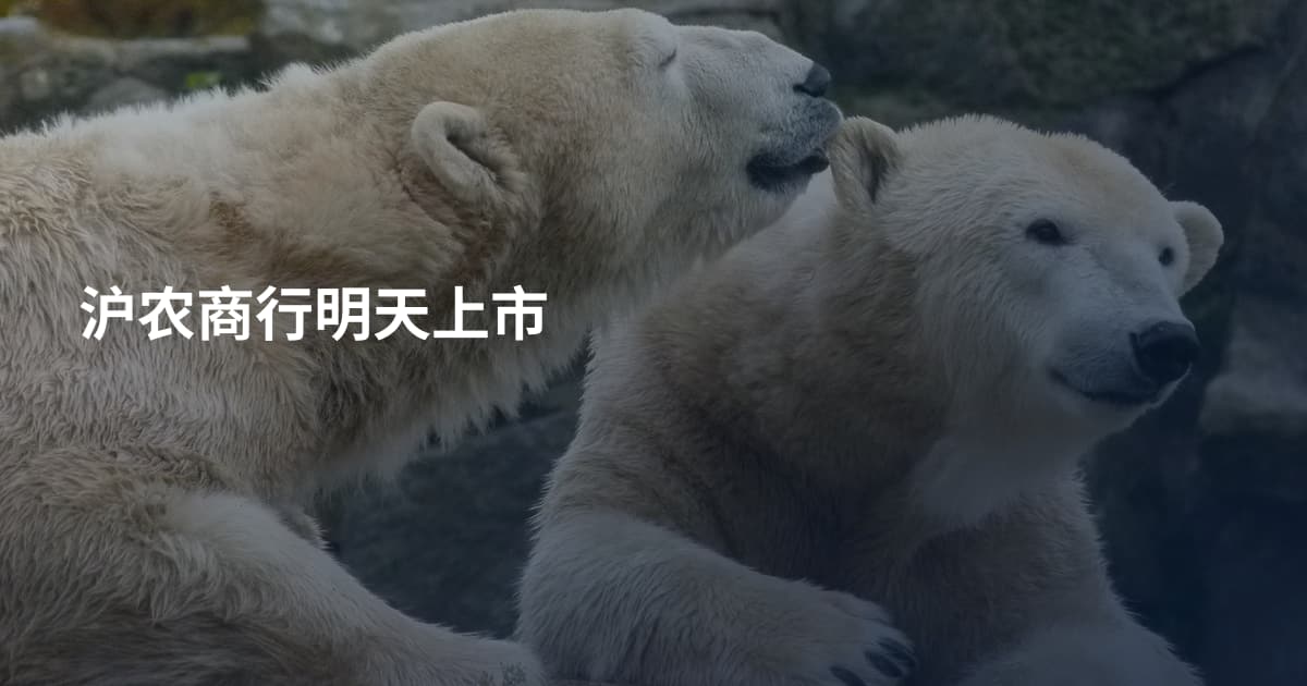 沪农商行明天上市