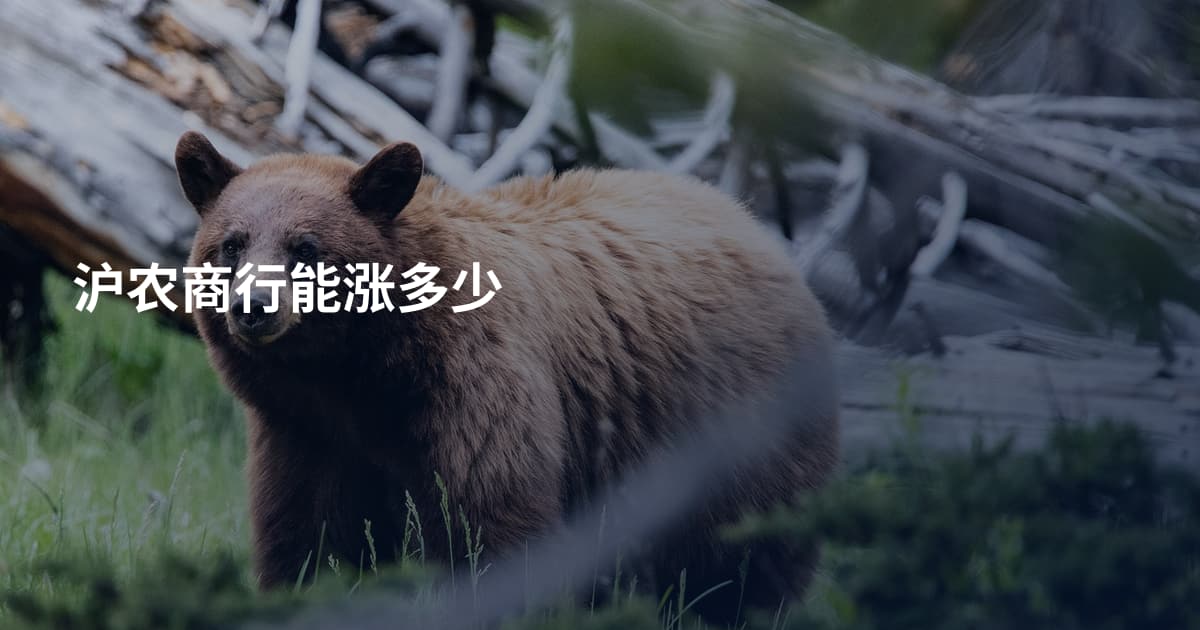 沪农商行能涨多少