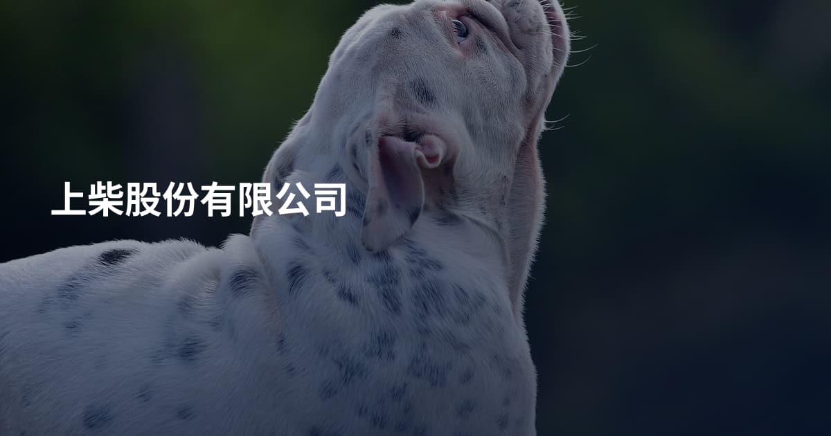 上柴股份有限公司