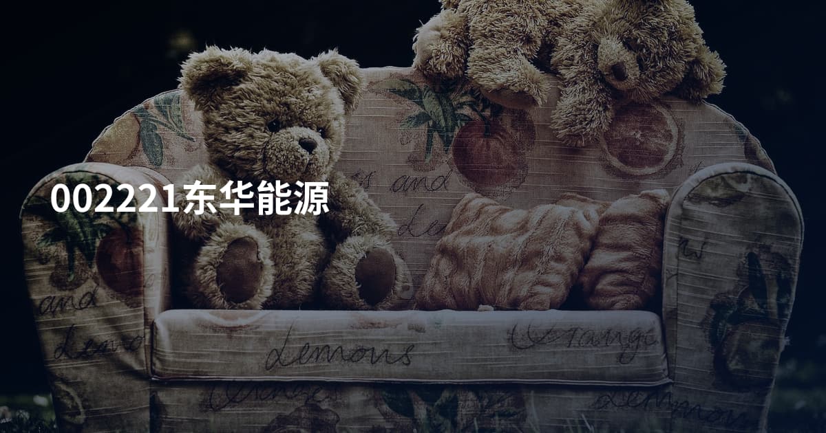 002221东华能源