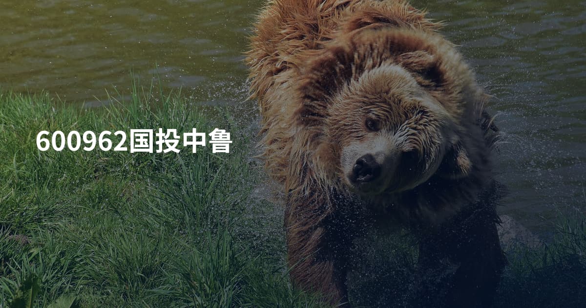 600962国投中鲁