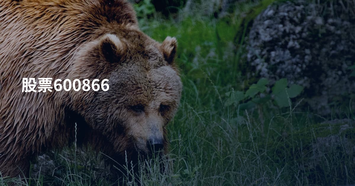 股票600866
