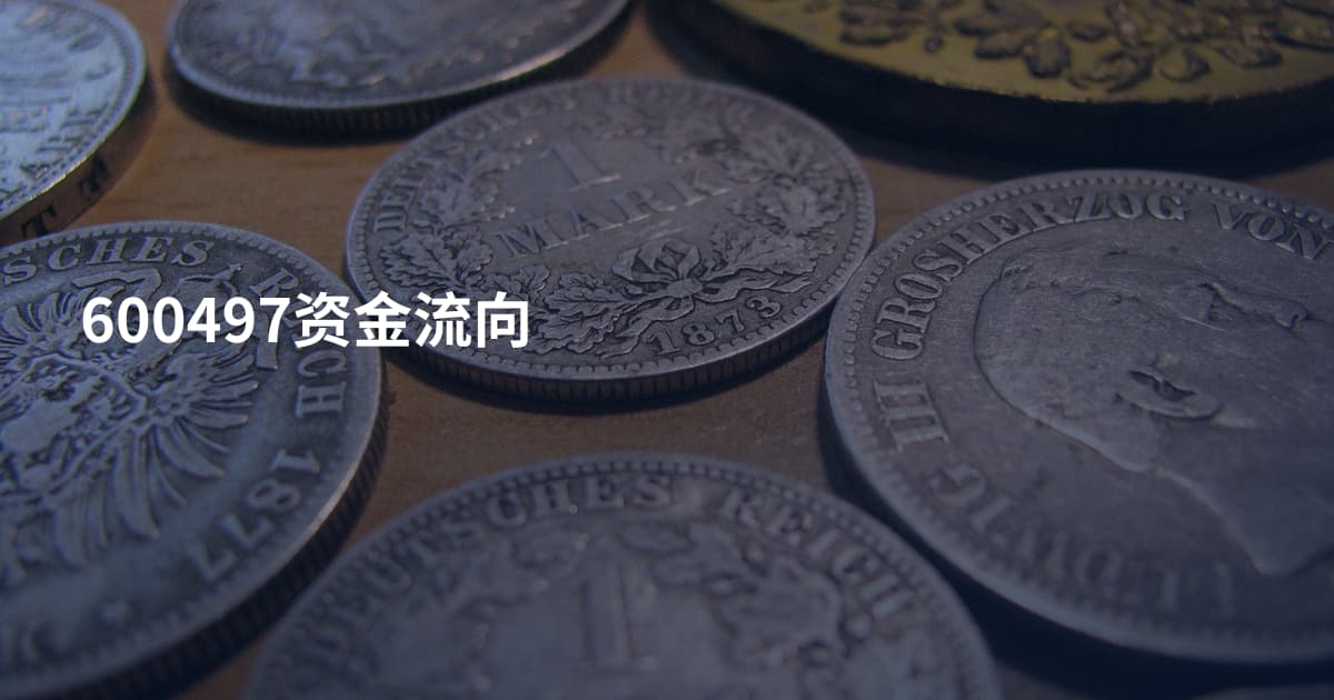 600497资金流向