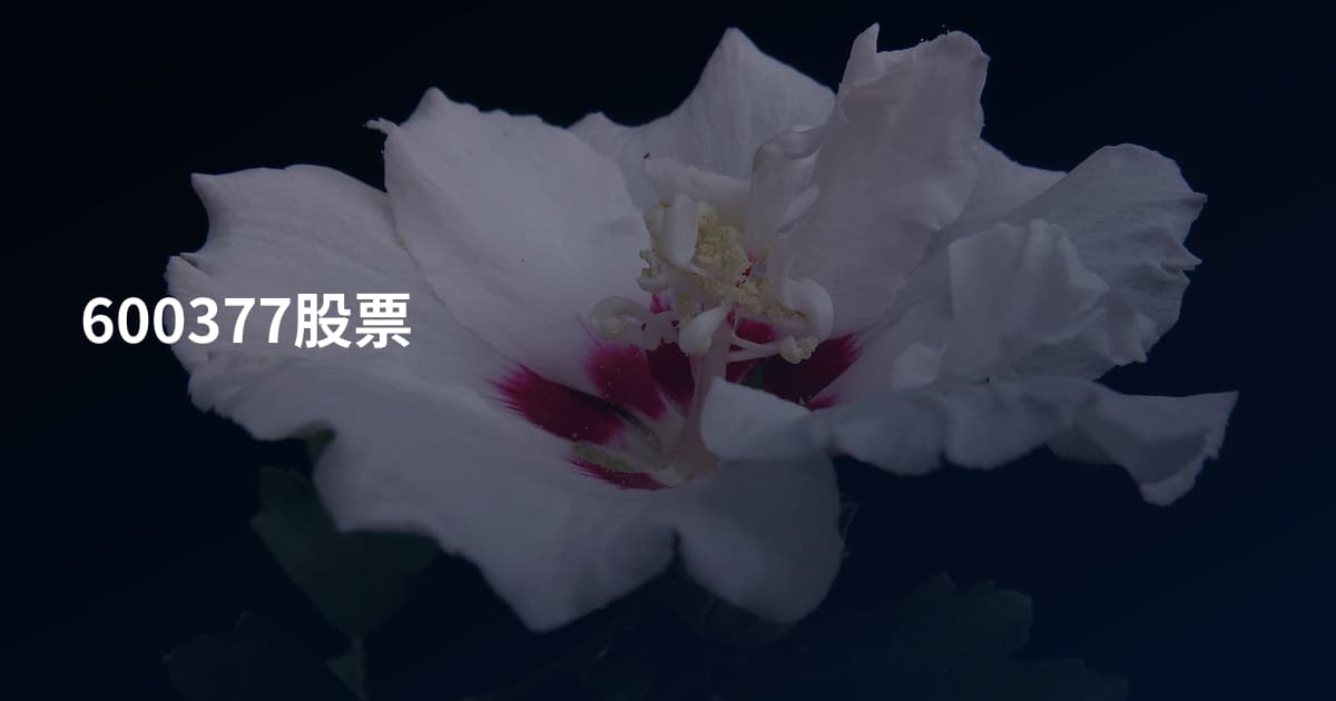 600377股票