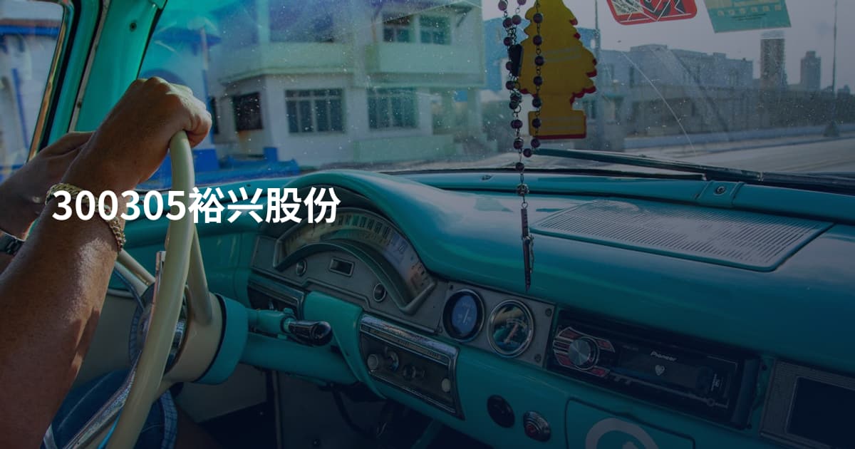 300305裕兴股份