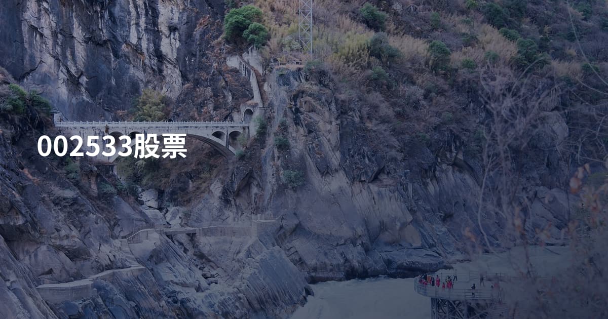 002533股票