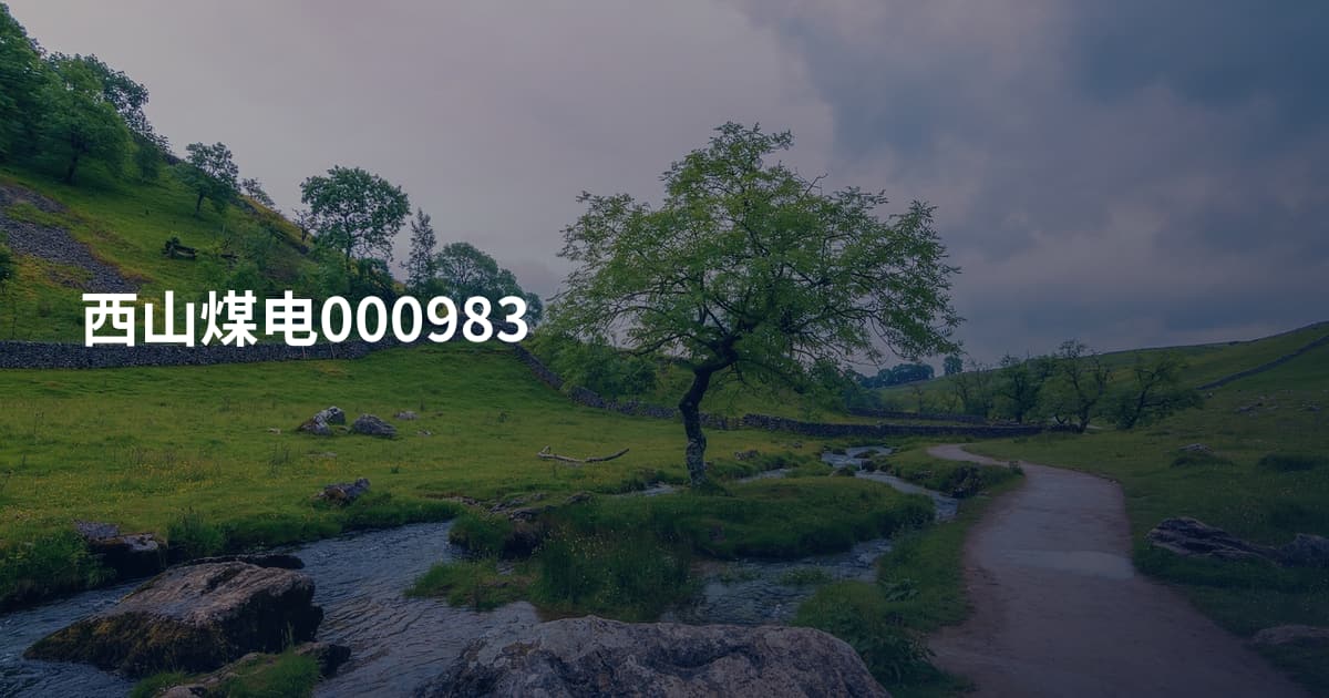 西山煤电000983