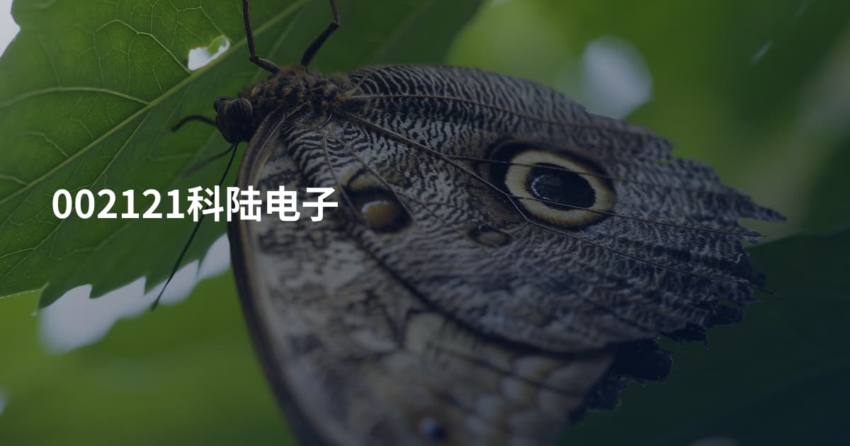002121科陆电子
