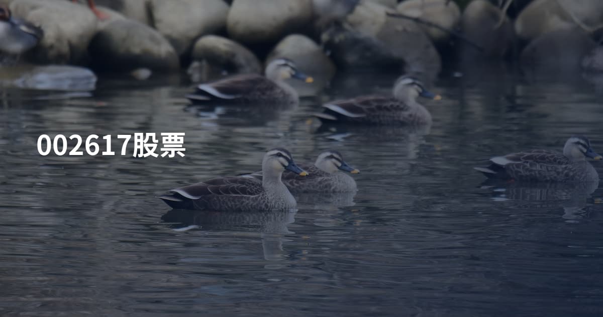 002617股票