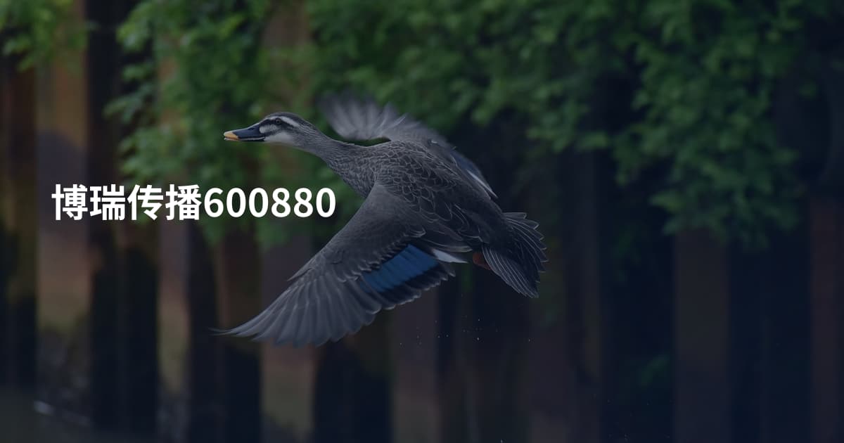 博瑞传播600880
