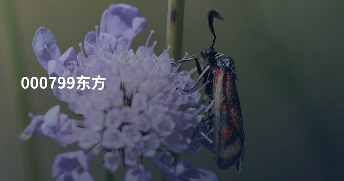 000799东方