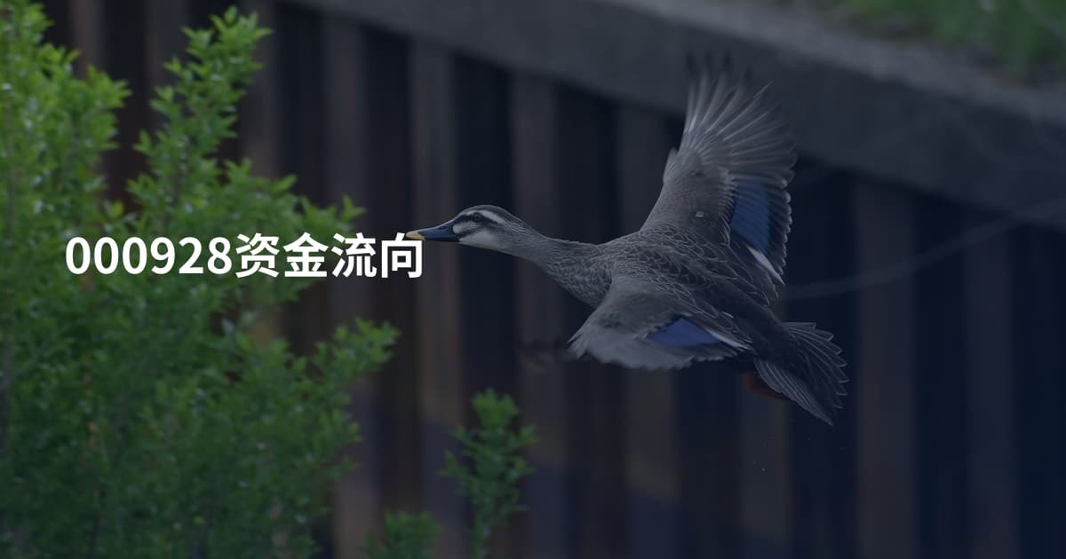 000928资金流向