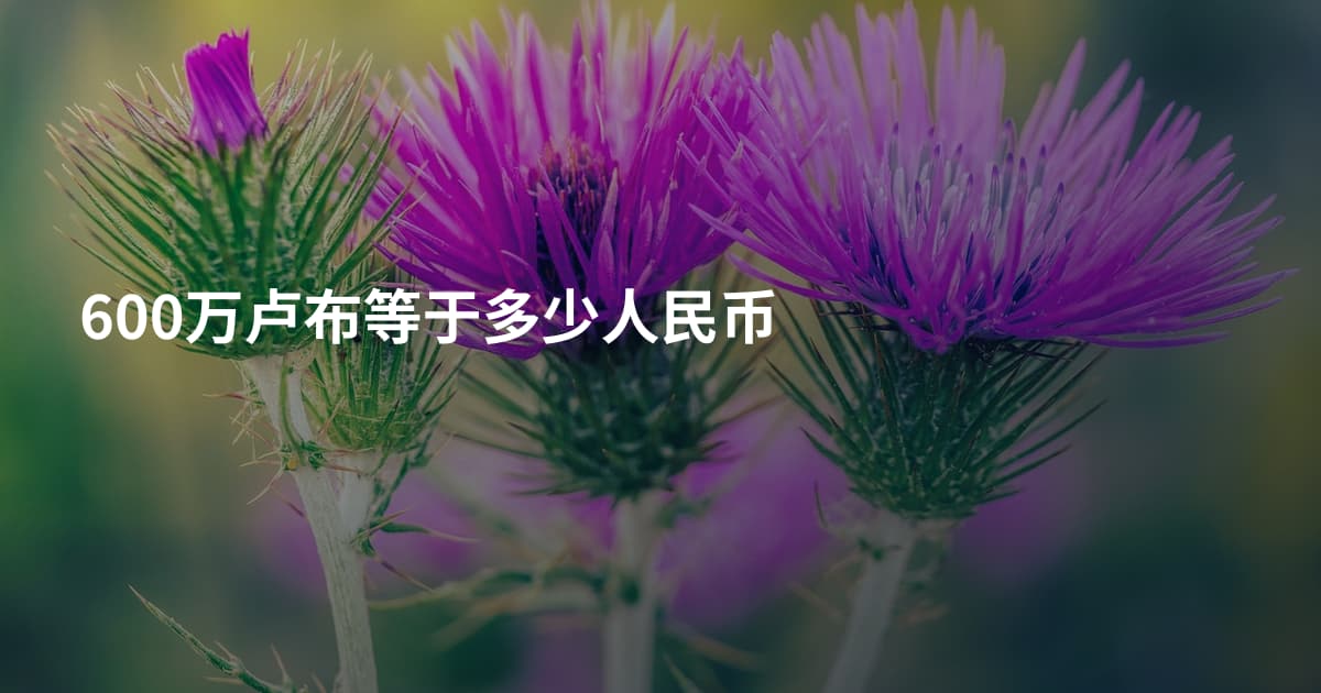 600万卢布等于多少人民币