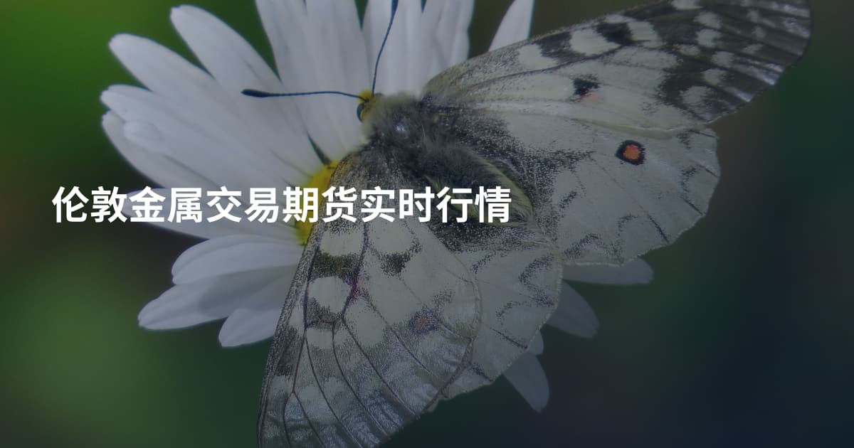 伦敦金属交易期货实时行情