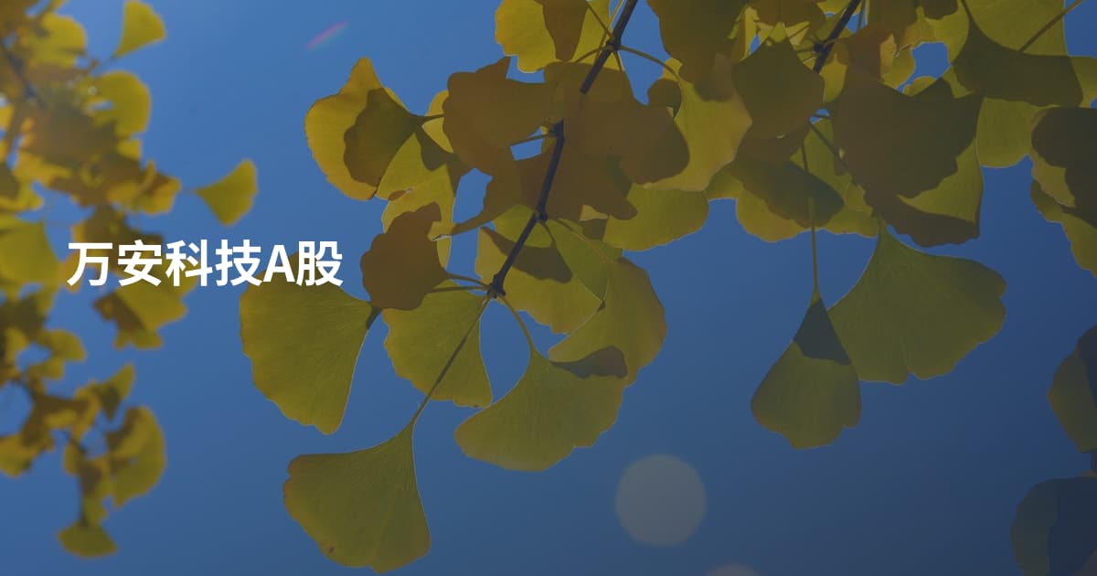 万安科技A股