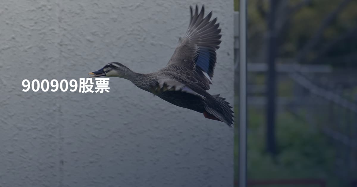 900909股票