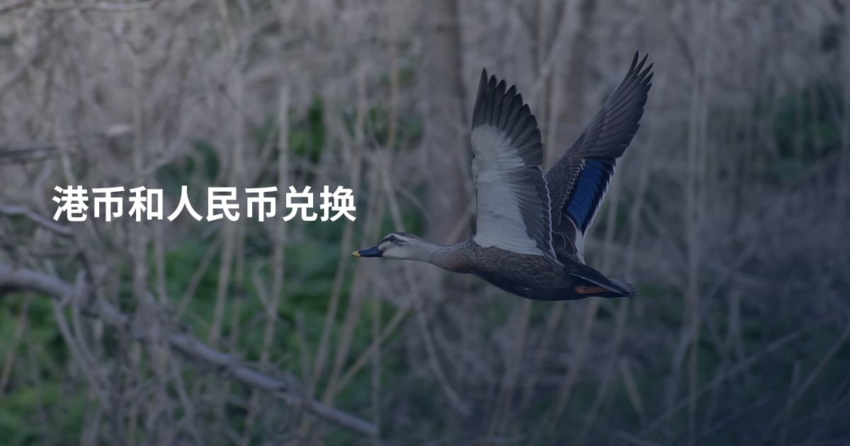港币和人民币兑换