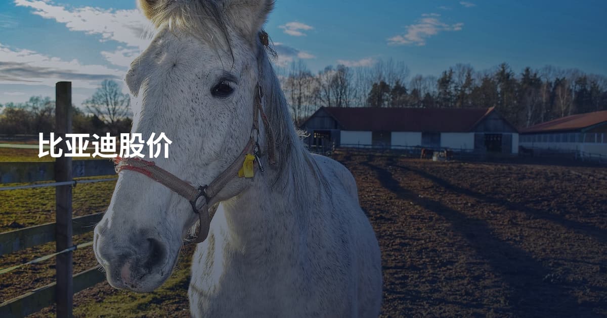 比亚迪股价
