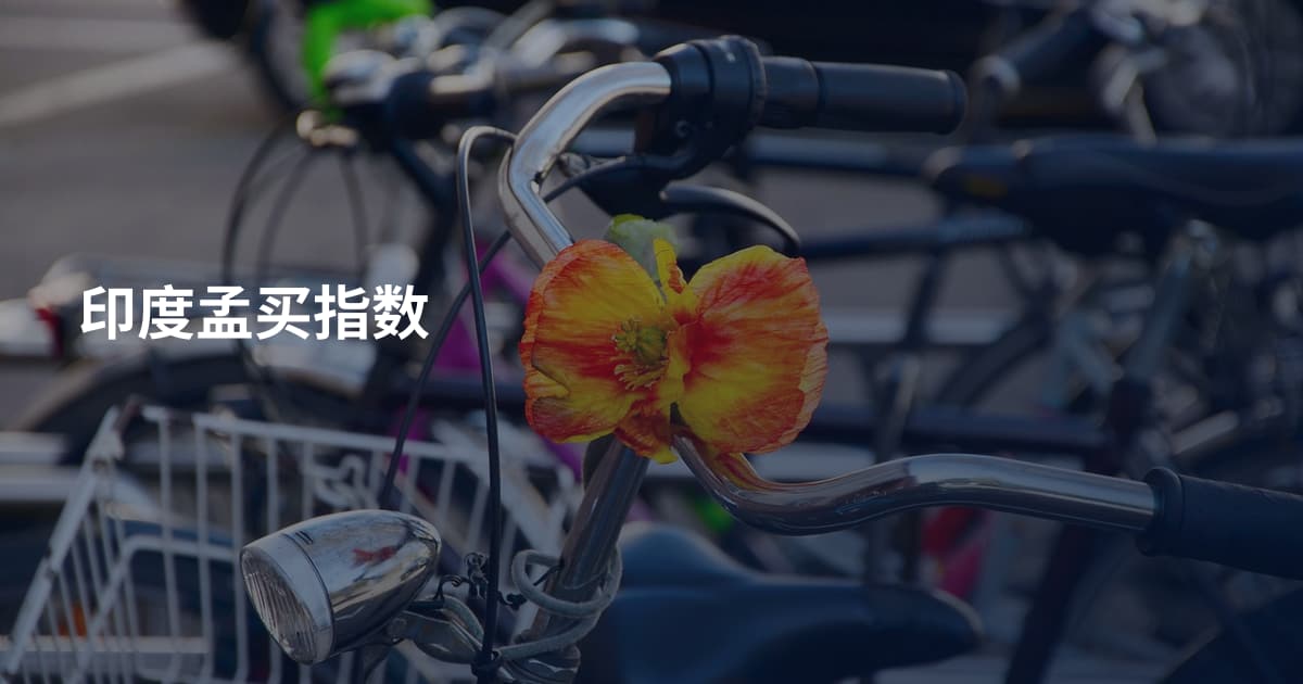 印度孟买指数