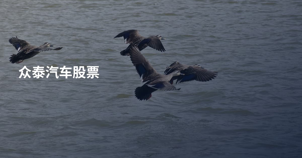 众泰汽车股票