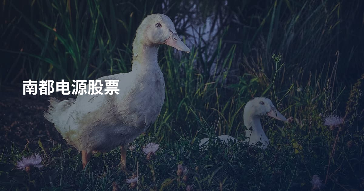 南都电源股票