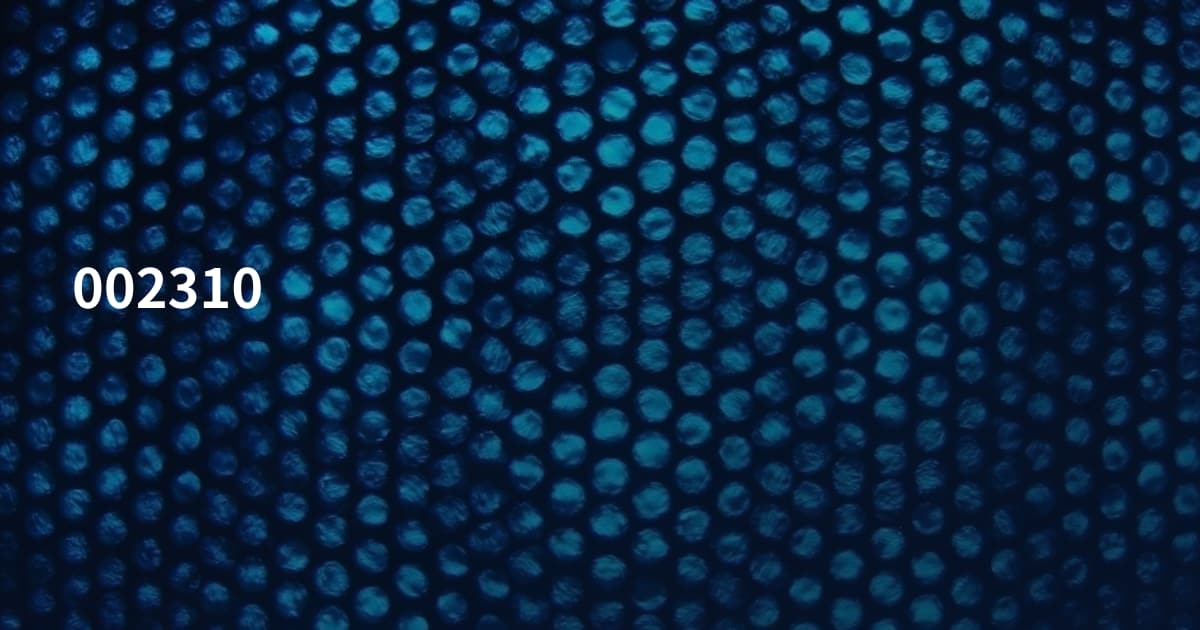002310