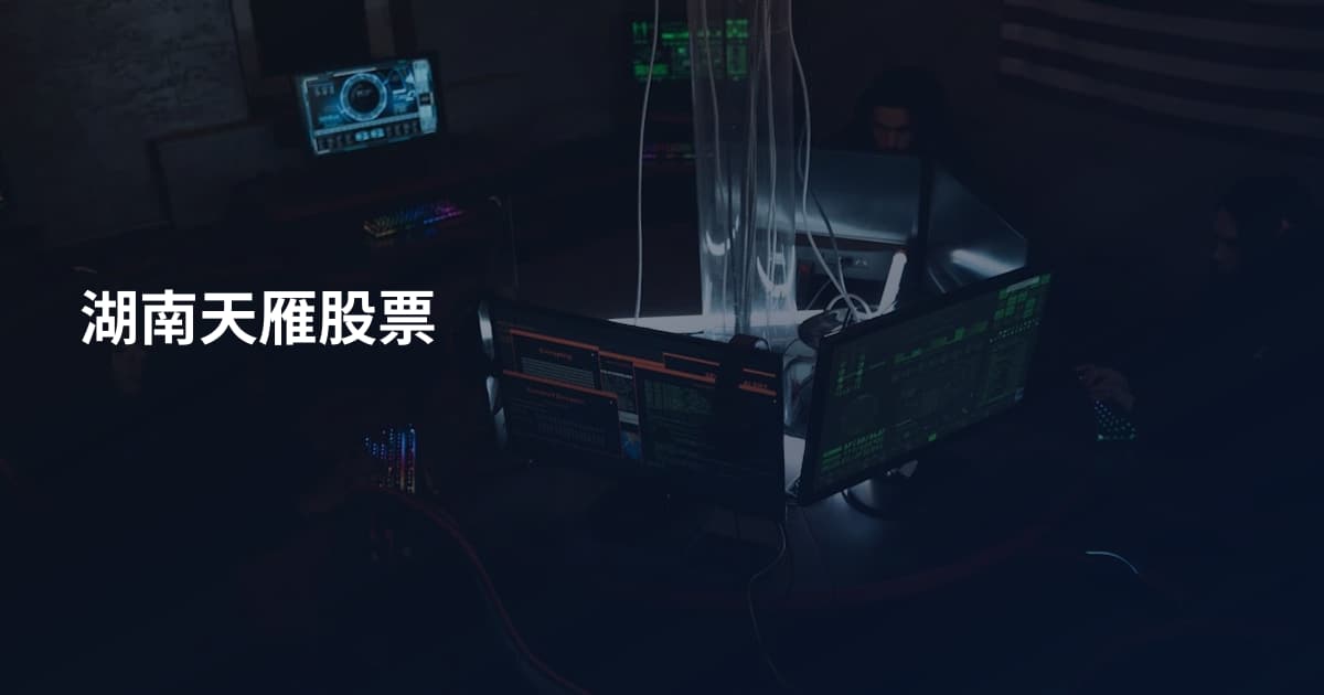 湖南天雁股票