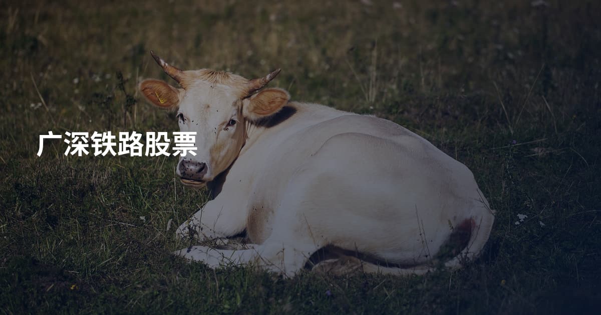 广深铁路股票