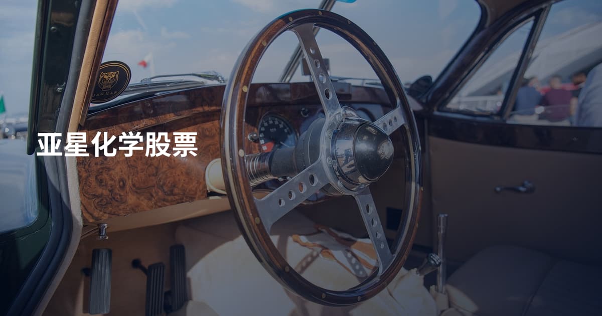 亚星化学股票