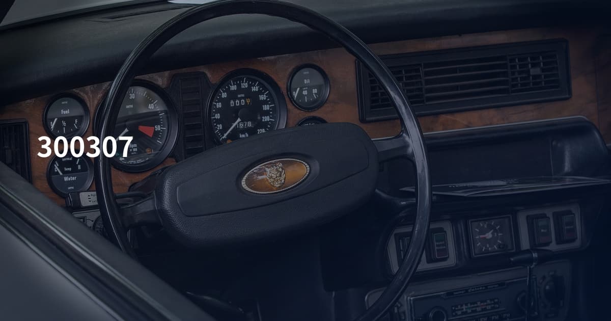 300307